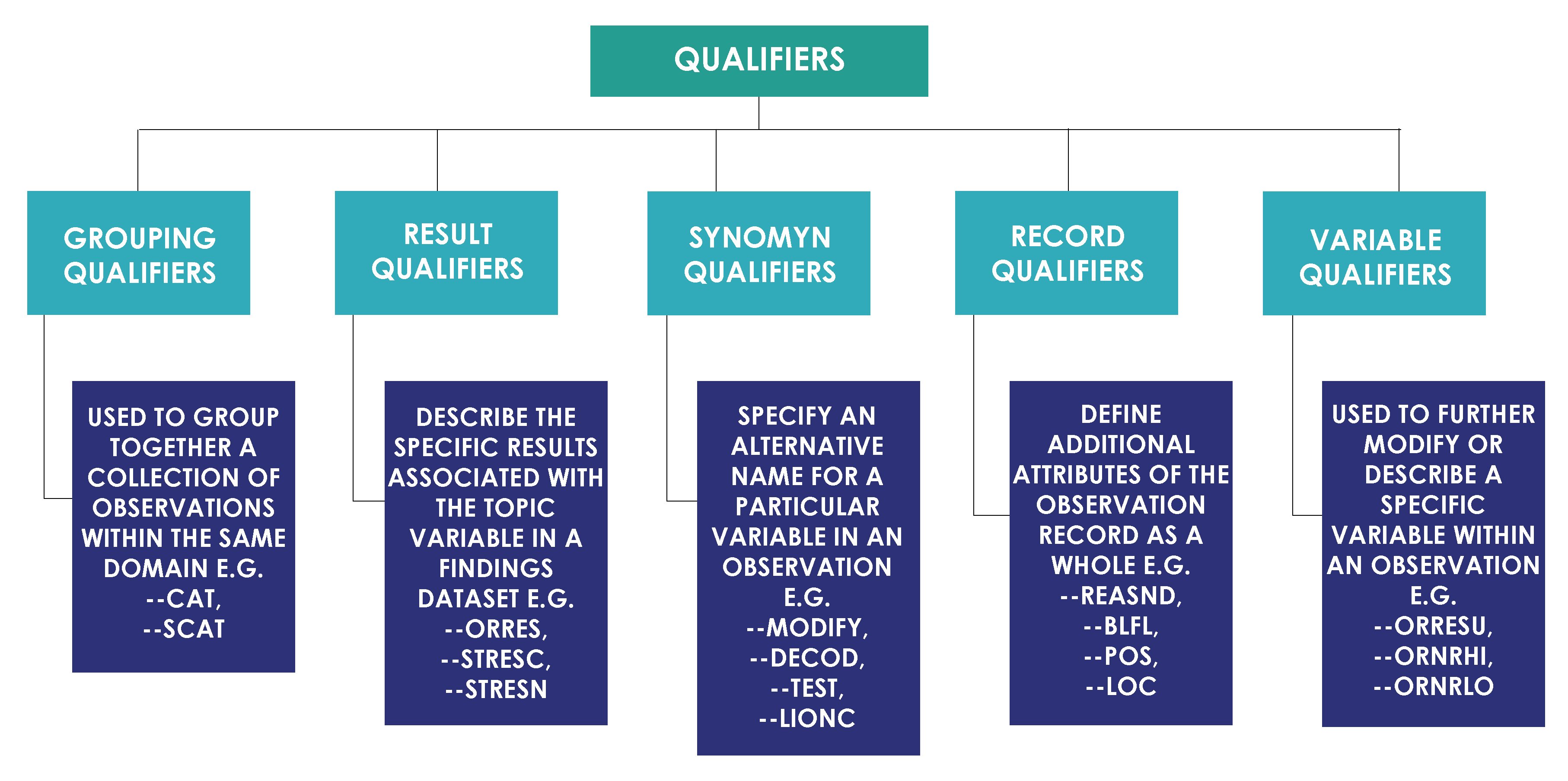 Qualifiers Role