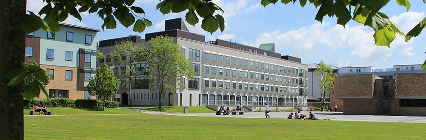 Rare-Diseases-at-Lancaster-University