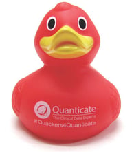 Red Quanticate Duck - Copy.jpg