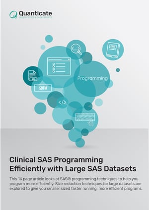 Clinical SAS Programming Efficiently with Large SAS Datasets