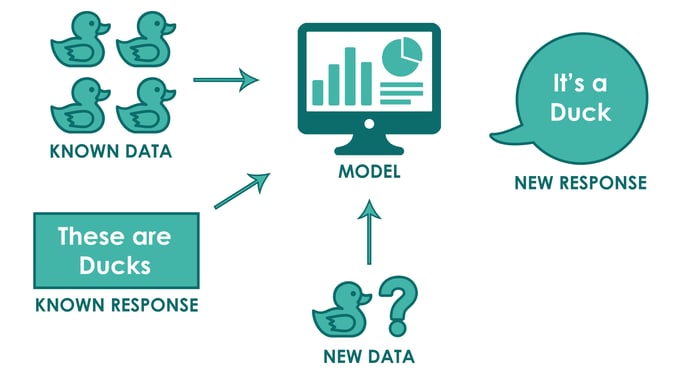 Supervised Learning-2