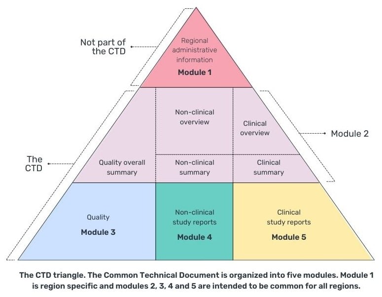 Ich Triangle Module A Guide to Integrated Summaries of Safety & Effectiveness (ISS & ISE)