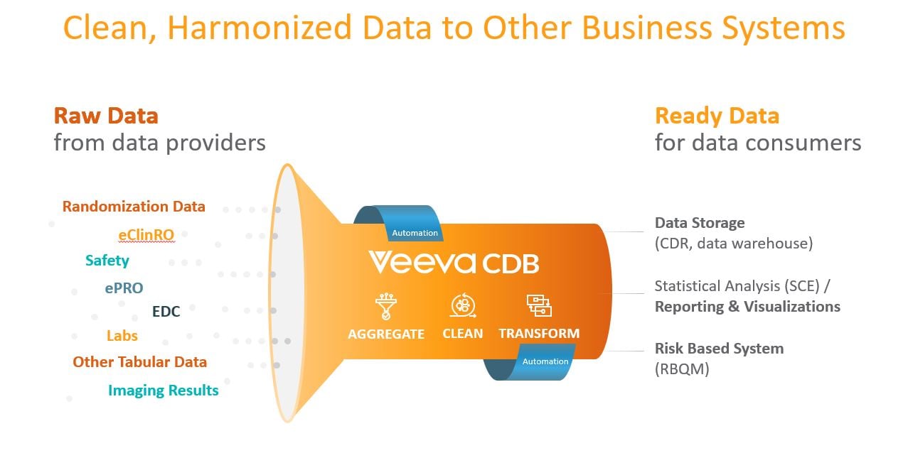 Veeva CDV System Process