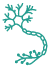 CNS